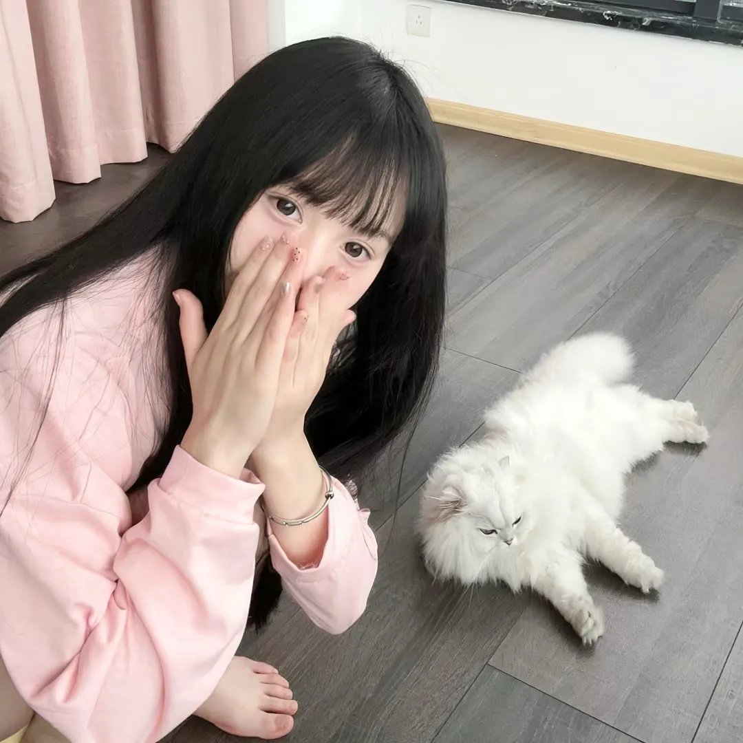 熊猫总动员